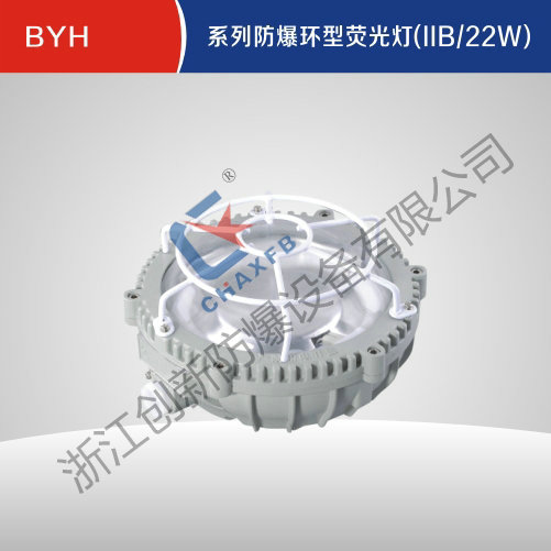 BYH沙巴足球中国股份有限公司官网环型荧光灯(IIB、22W)